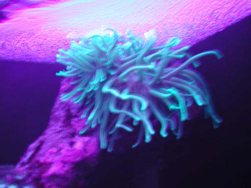 P1010069