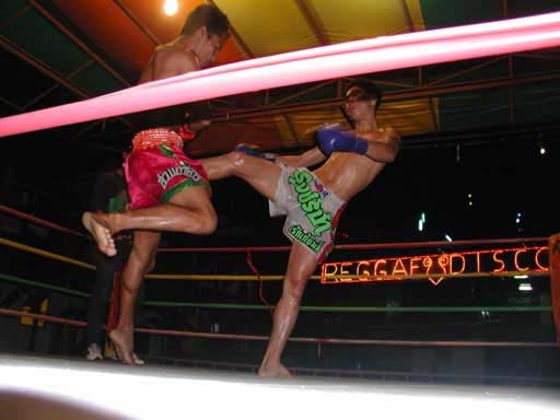 P1010013