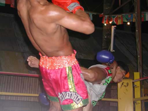 P1010016