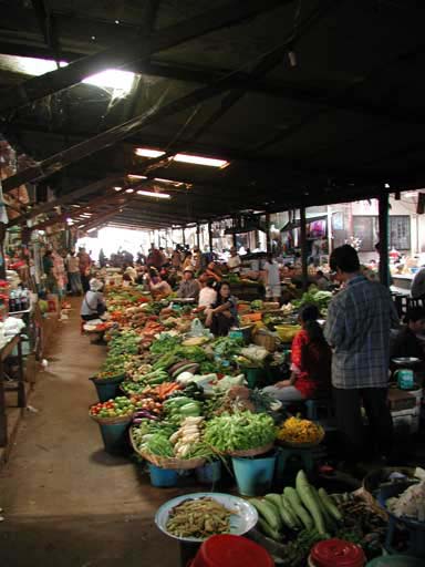 P1010046