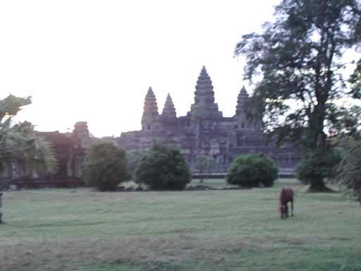 P1010051