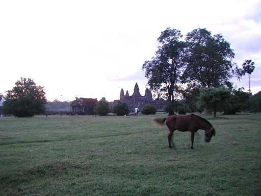 P1010053