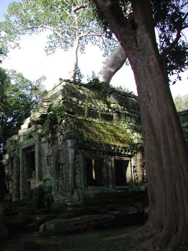 P1010082