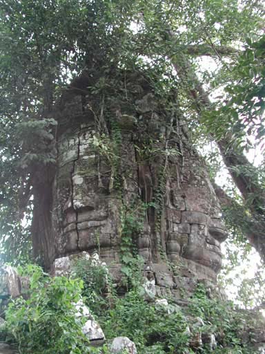 P1010121